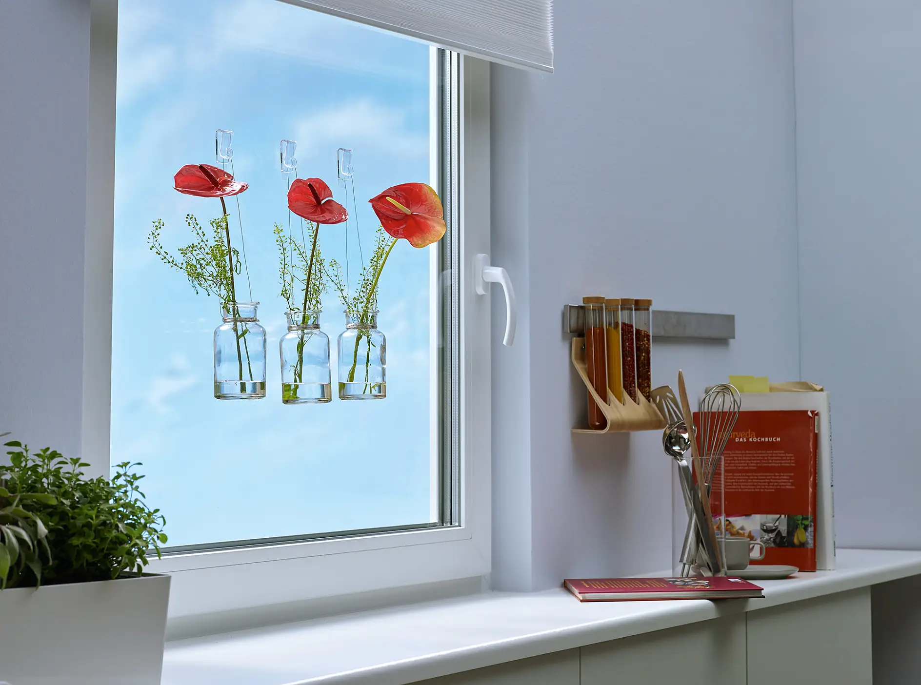 使用tesa®透明玻璃用无痕挂钩（1公斤）安装。